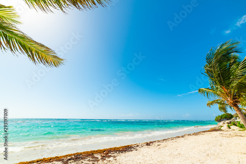 Fototapeta Naklejka Na Ścianę i Meble -  Beautiful Raisins Clairs beach in Guadeloupe