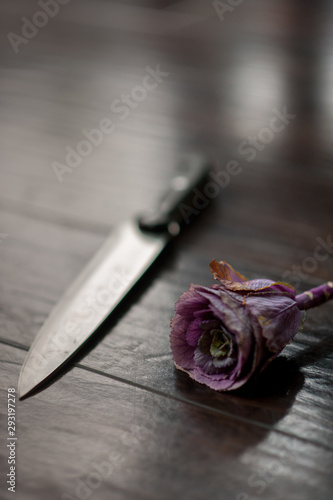 knife and rose on floor mystery crime scene