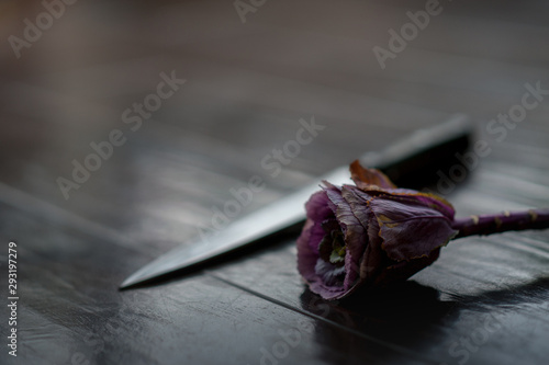 knife and rose on floor mystery crime scene