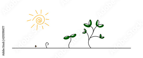 piantare, seme,  piantine, fotosintesi, sole, luce solare