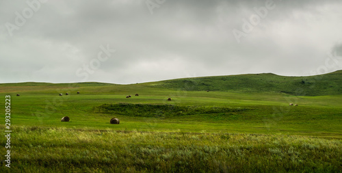green grass field in front of green hills during cloudy summer day in Khakassia, Russia