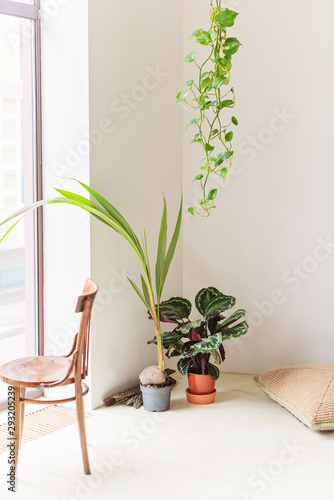 Modern living room with big window, wooden chair and plants in the style of hugge