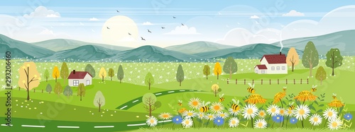 Cute cartoon panorama landscape of Spring field and wild flowers with family bee flying, Lovely card with sun shine, cloud and honey bee collecting pollen on flowers in sunny day, Summer background