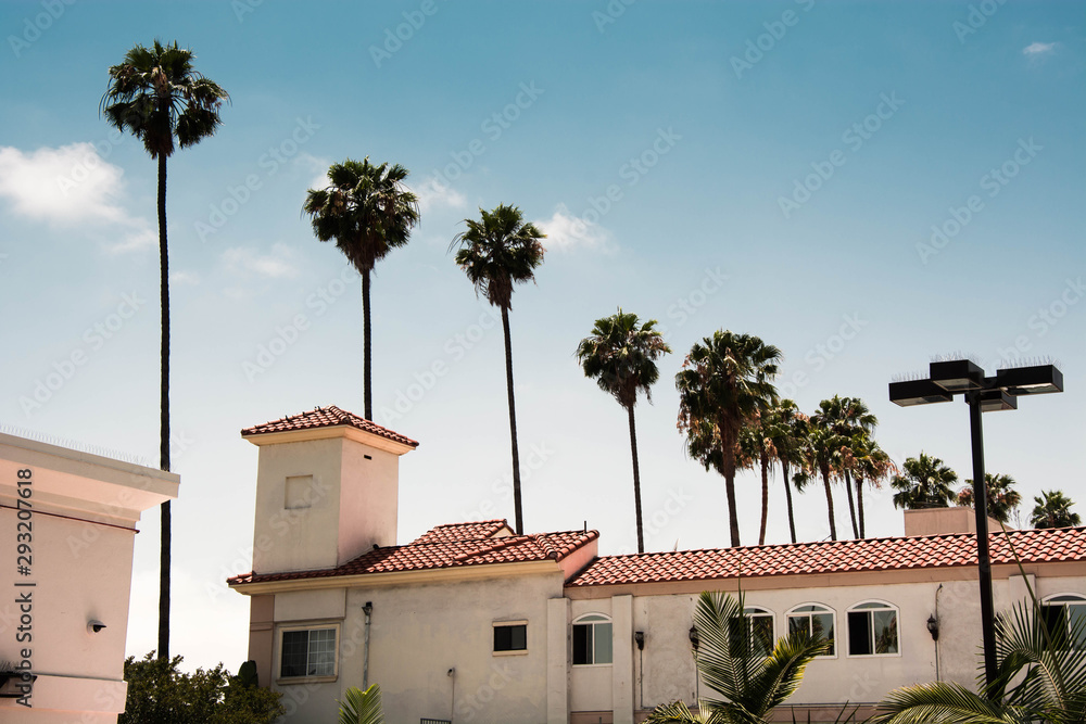 Villa with palm trees in hollywood los angeles california on a sunny day with blue sky.