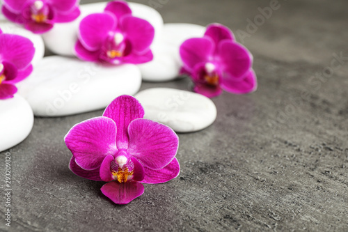 White spa stones and orchid flowers on grey background