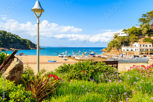 Flowers and green plants on coastal promenade and view of fishing boats on beach in beautiful Sa Riera village, Costa Brava, Catalonia, Spain
