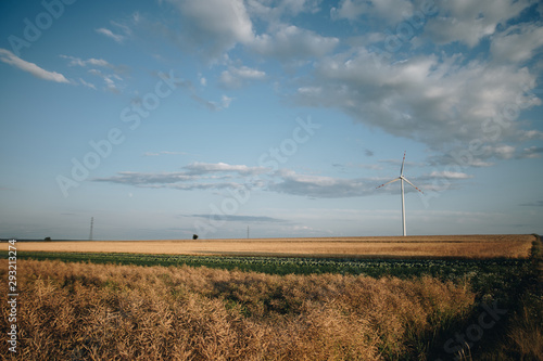 field with wind turbine