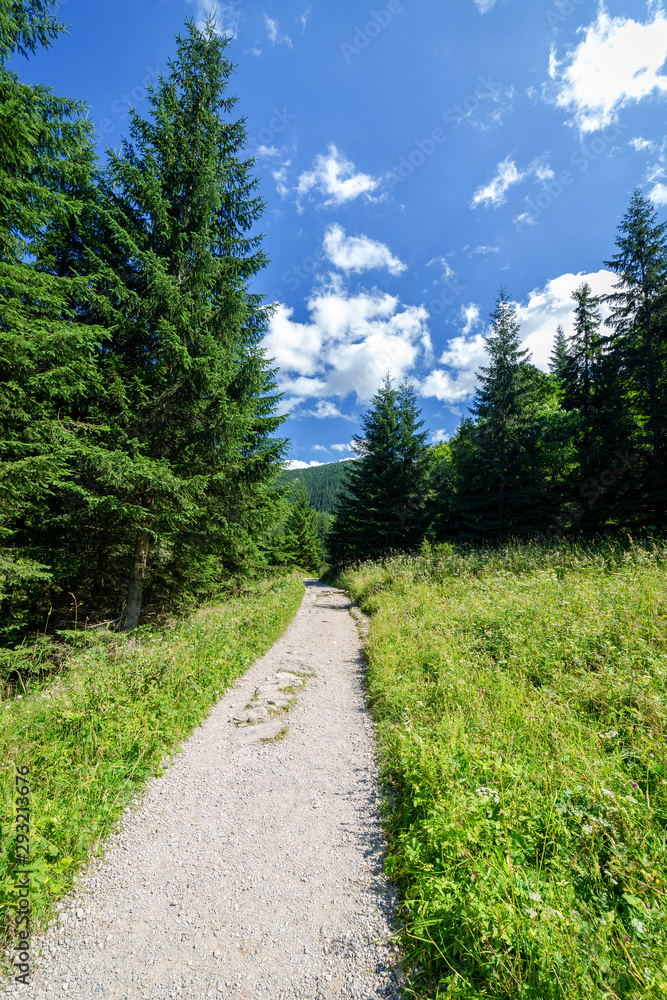 The trail in the mountains