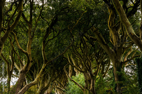 Breathtaking landscapes of Ireland  the emerald island. rough coastviews  colorful landscapes  thousand shapes of green.