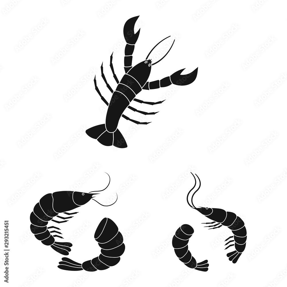 Vector design of market and marine logo. Collection of market and sea stock vector illustration. Vector design of market and marine logo. Collection of market and sea stock vector illustration.
