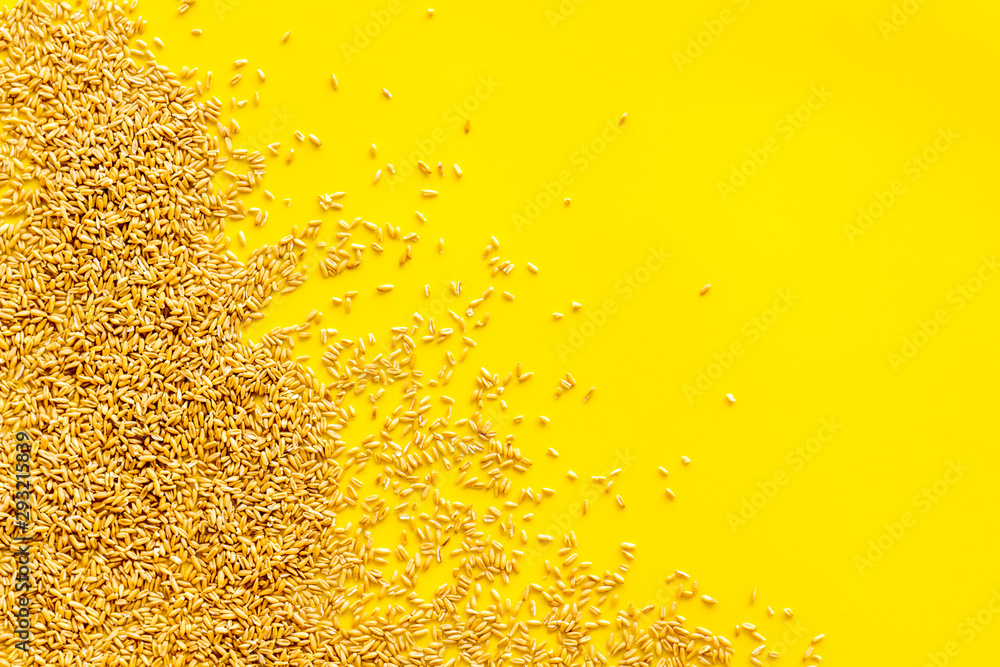 Wheat or barley frame on yellow background top view copy space