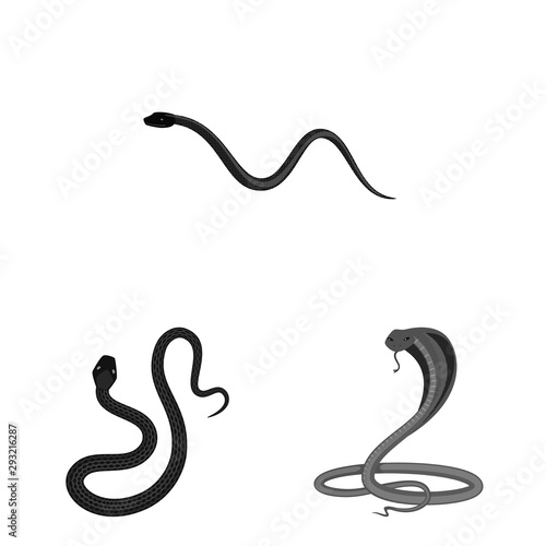 Vector illustration of harm and bite symbol. Set of harm and reptile stock symbol for web.