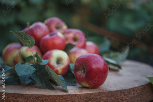 Red apples with leaves on the wood chair close up photo