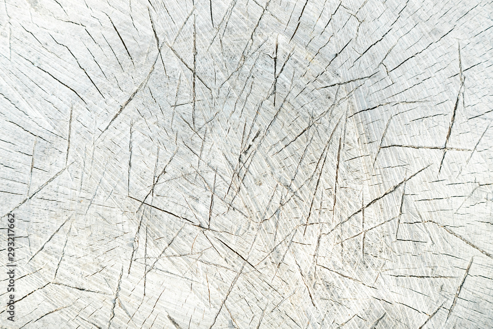 Wood grain texture with cracks from axe. Light background for flat lay.  Rugged tree