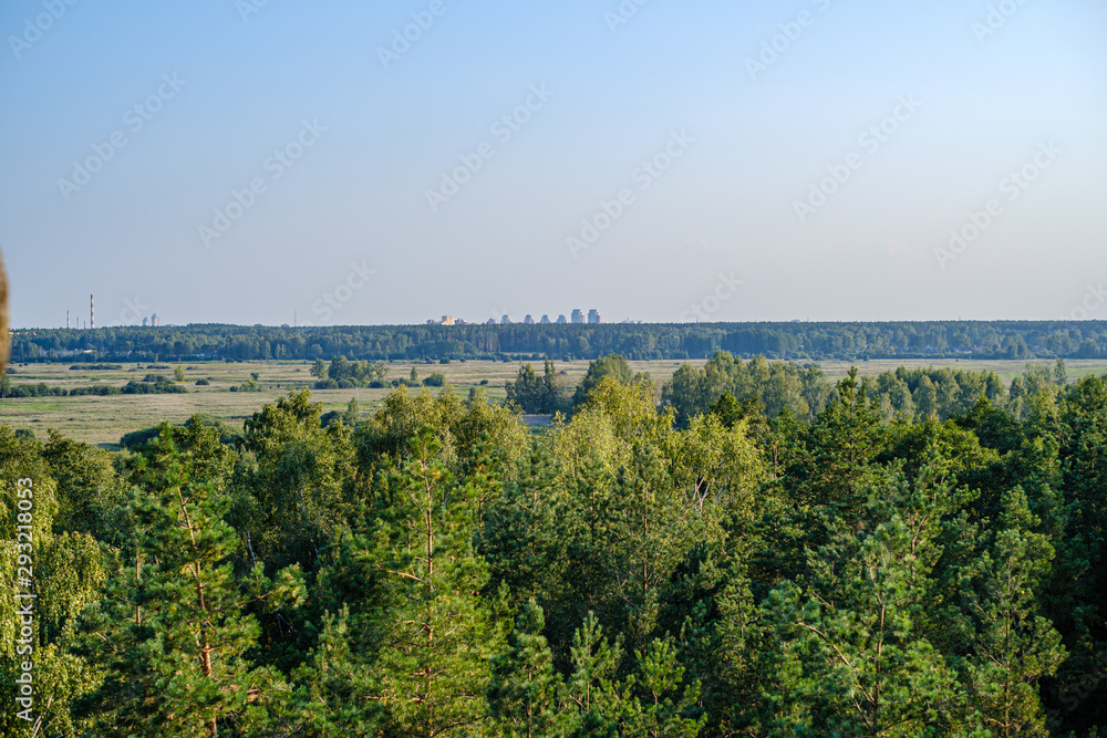 countryside landscape of fields and forests in summer