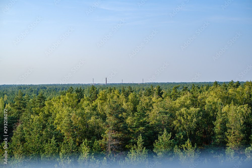 Obraz premium countryside landscape of fields and forests in summer