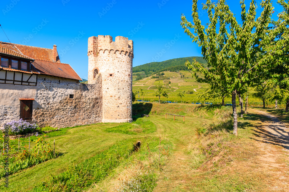 Tower of old town walls in Kientzheim village on Alsatian Wine Route, France