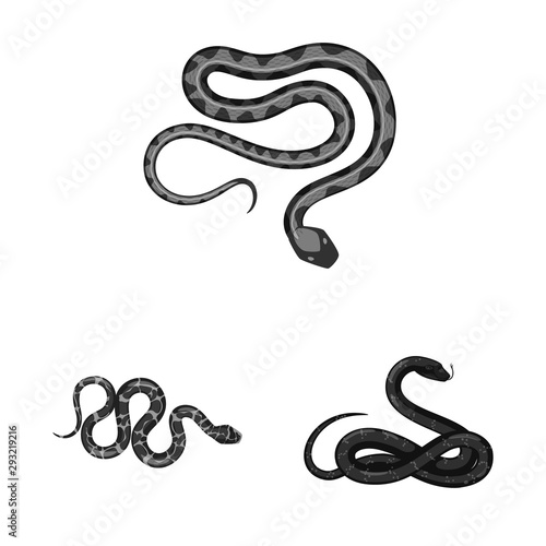 Isolated object of harm and bite icon. Set of harm and reptile stock vector illustration.