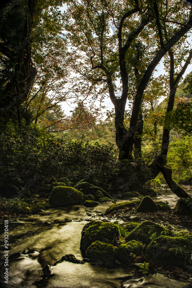 鳥取県・大山、木谷沢渓流