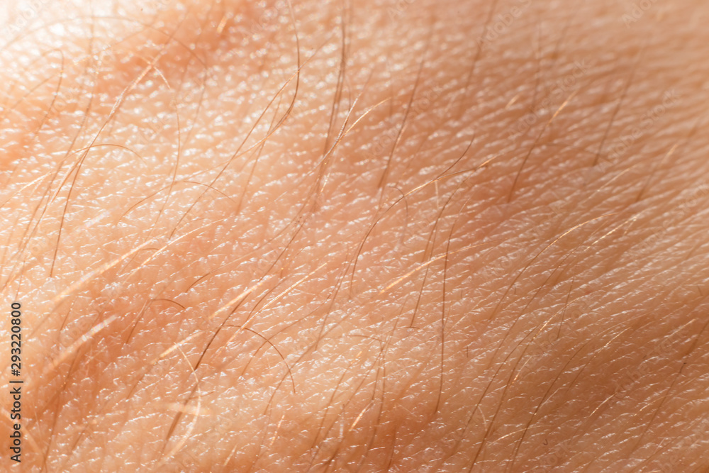 Fototapeta premium Close-up view of human skin with hair