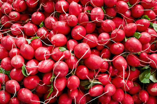 Fotótapéta Heap of small red radish