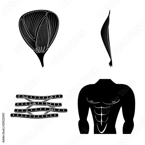 Isolated object of human and body symbol. Collection of human and cells vector icon for stock.