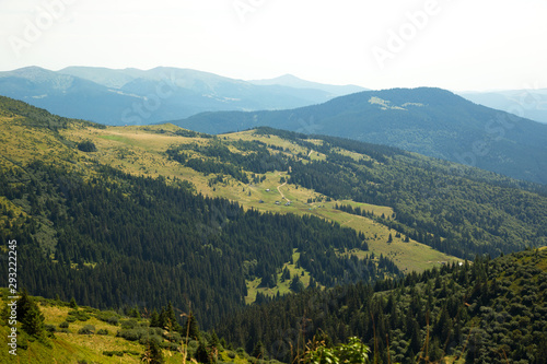 Panoramic view of Carpathian Mountains. Beautiful landscape with green trees and pines. Beauty of nature.
