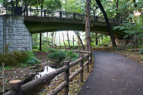 park forest bridge