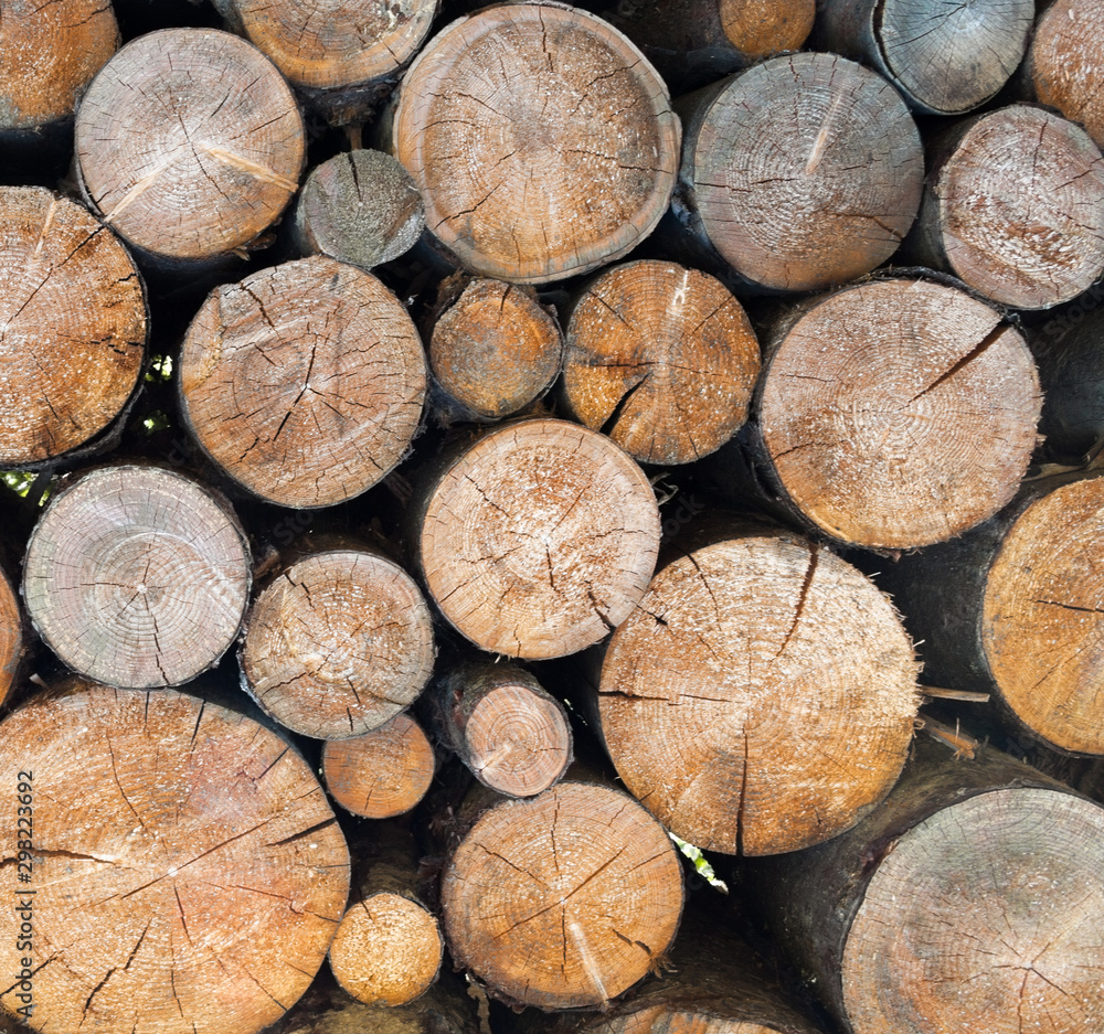 Stack of firewood. Wood logs.