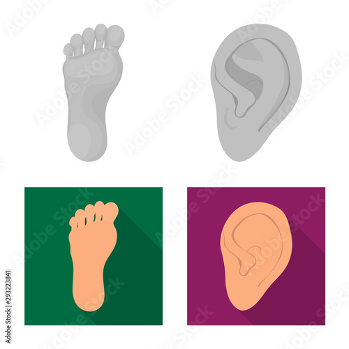 Vector illustration of body and part icon. Set of body and anatomy stock vector illustration.