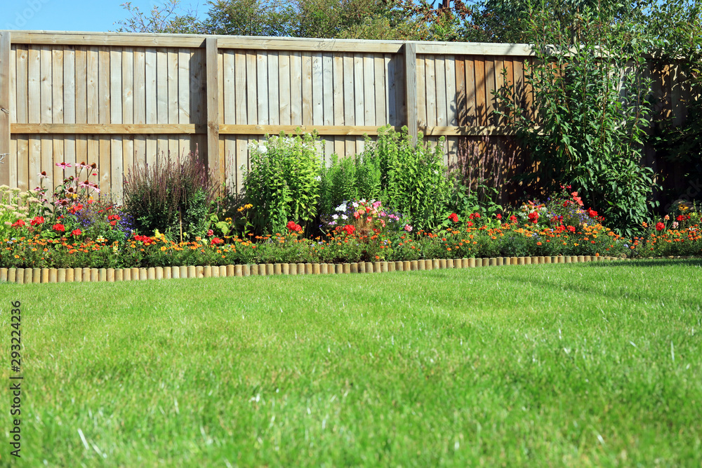 Shrubs And Flowers In A Border With A Grass lawn Surrounded By A Wooden Fence. - obrazy, fototapety, plakaty 