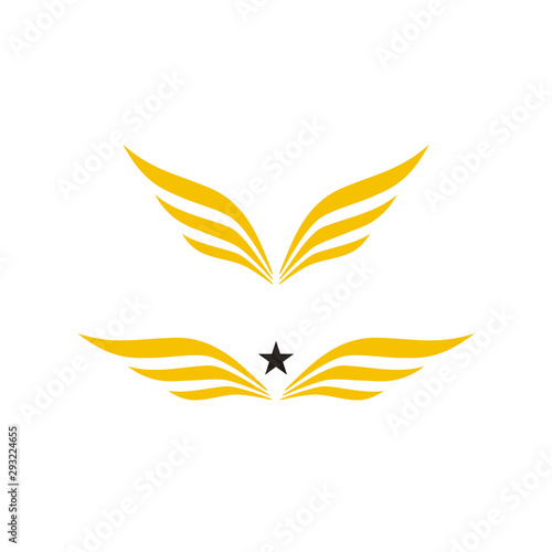 Golden Wings and Star logo design