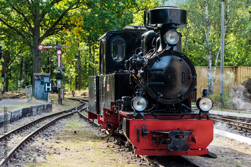 Fototapeta premium Mała lokomotywa parowa, Mała piękna lokomotywa parowa
