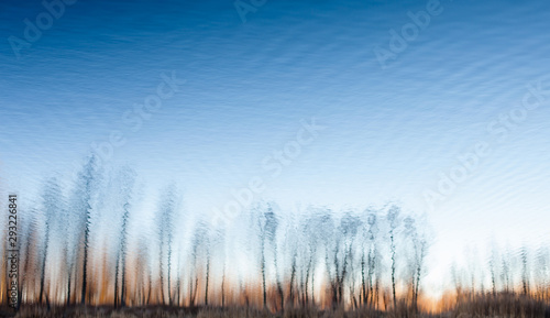 Water surface with the reflection of the leafless trees