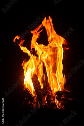 Bonfire. Bright flames. Fire close-up. Burning bonfire on the street. Fire on a black background. © Simon