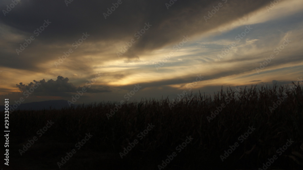 Fototapeta premium sunset in mountains