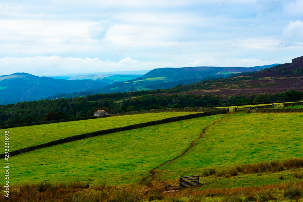 Fototapeta premium Paths, Grass, Trees and Hills