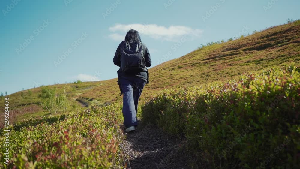 Back view woman hiking in mountains with backpack on sunny day travel female hike leisure people summer forest green healthy lifestyle walking grass happy path trail trip close up slow motion Back view woman hiking in mountains with backpack on sunny day travel female hike leisure people summer forest green healthy lifestyle walking grass happy path trail trip close up slow motion