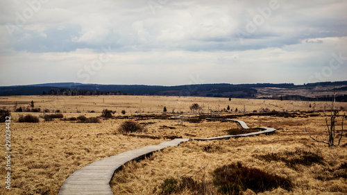 Photos Hautes-Fagnes, Belgique