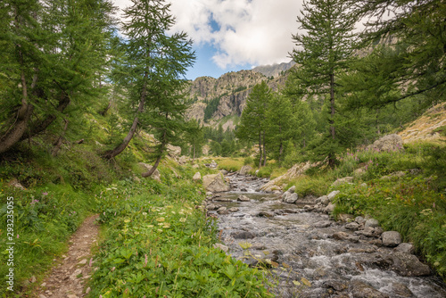 French Alps, Valley of Miracles, pristine nature. National Nature Park of France Mercantour