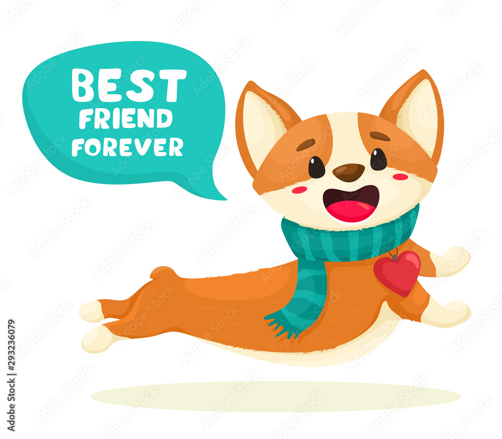 Cute Corgi puppy with a scarf and a medallion in the form of a heart in