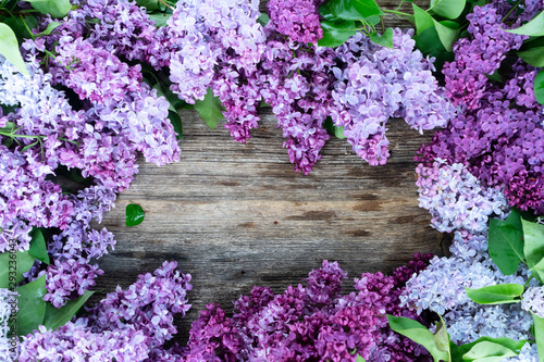 Fresh lilac flowers