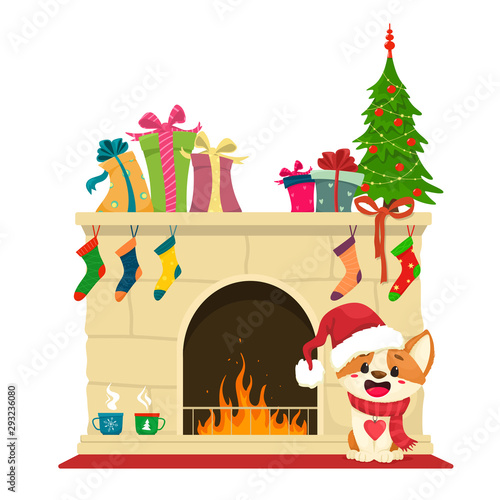 A cheerful Corgi puppy sits by the fireplace decorated with Christmas decorations and gifts. Merry Christmas. Vector illustration in cartoon flat style.
