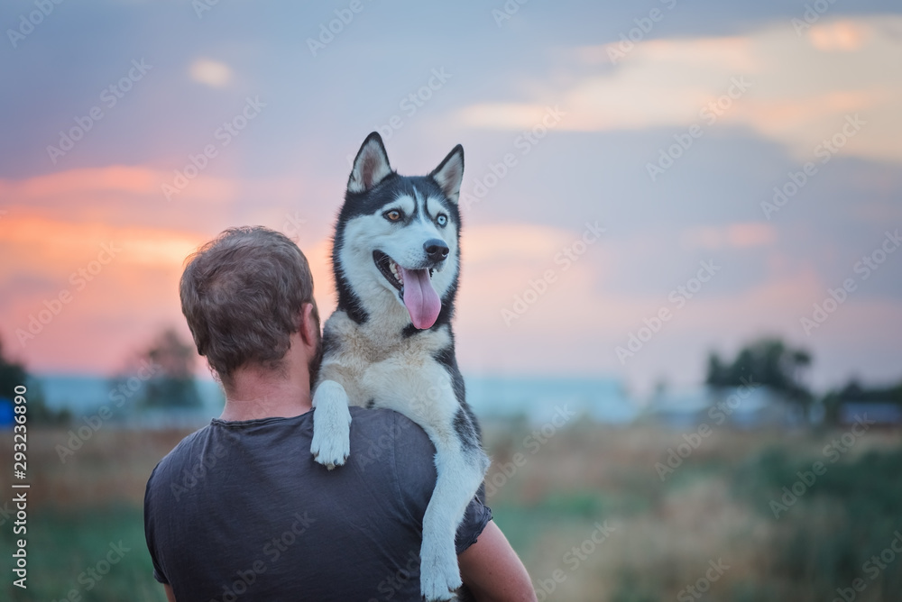 Back view of man holds husky dog on the sunset Back view of man holds husky dog on the sunset