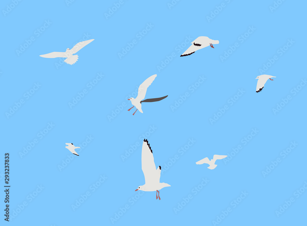 Obraz premium Vector illustration gulls in the sky