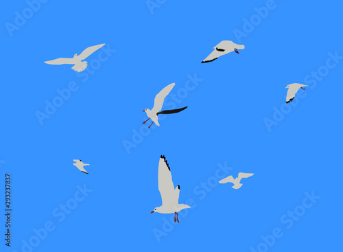 Vector illustration gulls in the sky