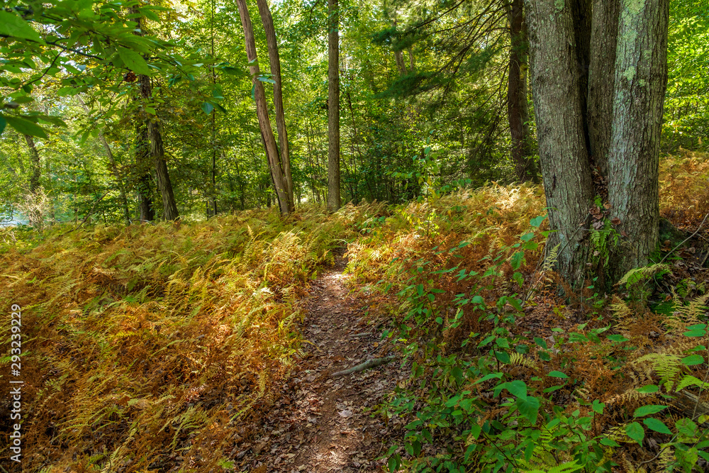 Autumn Nature Trail