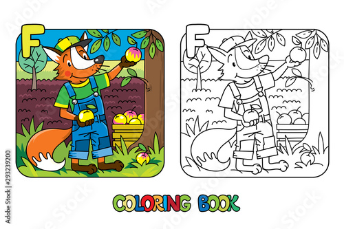 Fox farmer ABC coloring book. Alphabet F