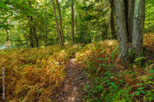 Autumn Nature Trail