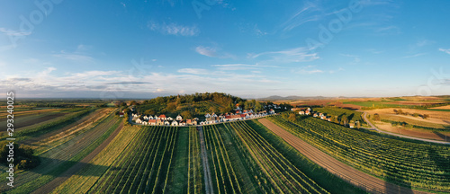 Galgenberg. Cellar alley in Wildendürnbach, Weinviertel, Austria photo